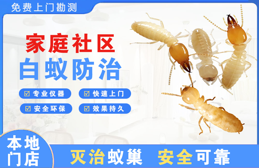 屯昌家庭社区白蚁防治