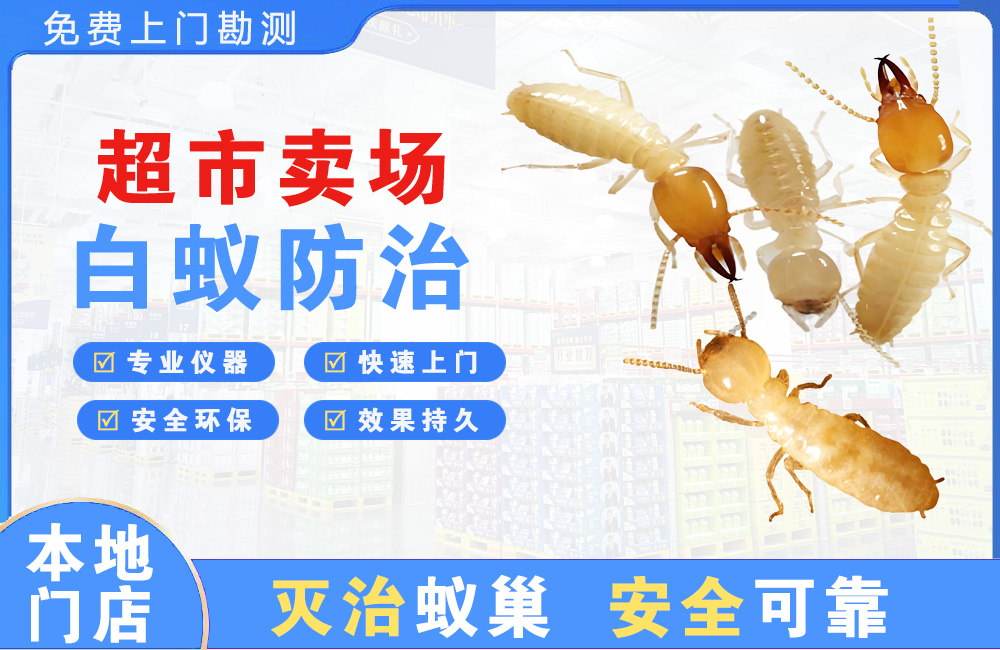 屯昌超市卖场白蚁防治