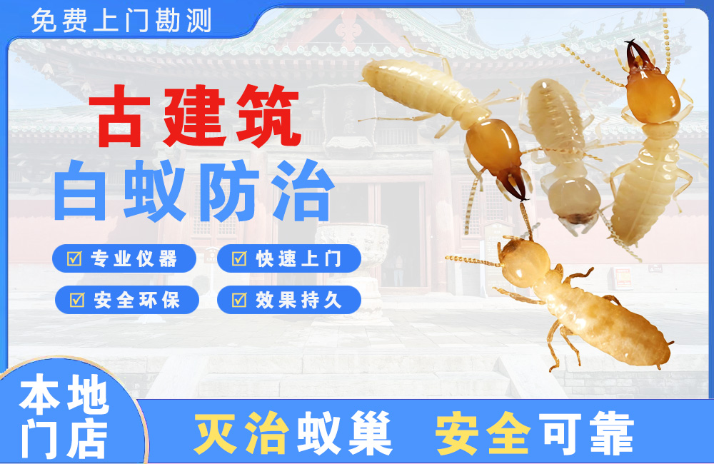 屯昌古建筑白蚁防治